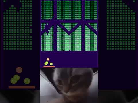huh? chipi chipi chapa chapa #cat #cute #chipichipi #huhcat #brickbreaker #shorts