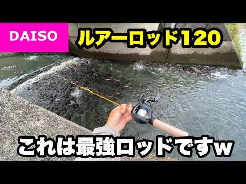 魚が湧きまくってる水路で使ってみたら最強でしたw【ダイソールアーロッド】