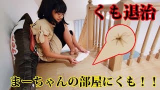 ●普段遊び●まーちゃんの部屋にクモが出た！！＃723