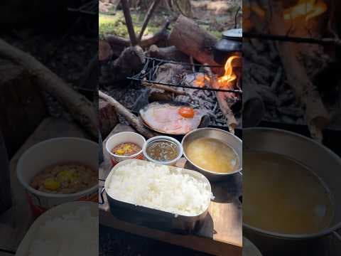 【キャンプ飯】森の朝食#ソロキャンプ #レシピ #asmr