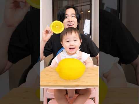娘にレモン食べさせたら反応が面白すぎた #shorts