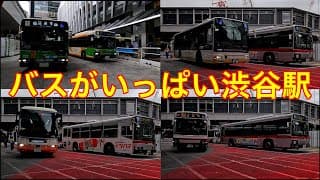 バスがいっぱい渋谷駅