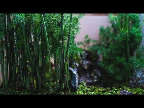 Making a Bamboo Forest