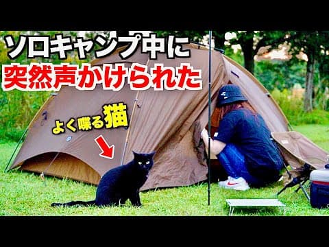 【猫乱入】ソロキャンプ中、野良猫がずっと話しかけてくる予想外の展開にキャンプどころじゃない！/ogawa GRAND lodge FIELD