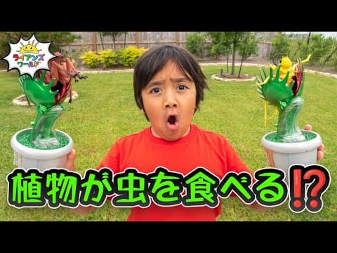 虫を食べる植物のひみつ｜食虫植物の生態に迫る！