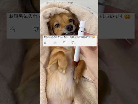 お風呂に入って体臭チェックしたら変化がすごかった！