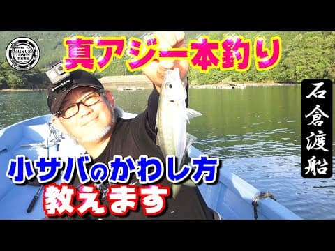 湾内真アジ一本釣り【良型連発！】