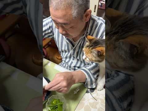 住職の夜ごはん。マグロ漬け丼ピーマンのお浸し のびる味噌添え 味噌汁