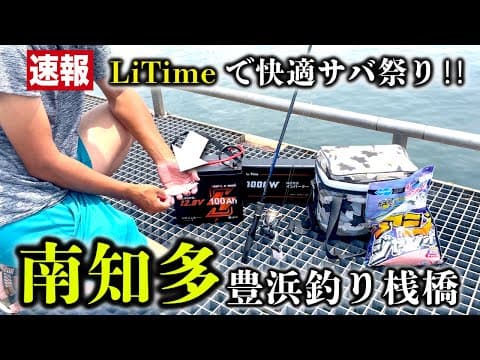 【豊浜釣り桟橋】サバ祭り開催中‼︎とにかく釣りたい人は絶対ココ【LiTimeリチウムイオンバッテリー】