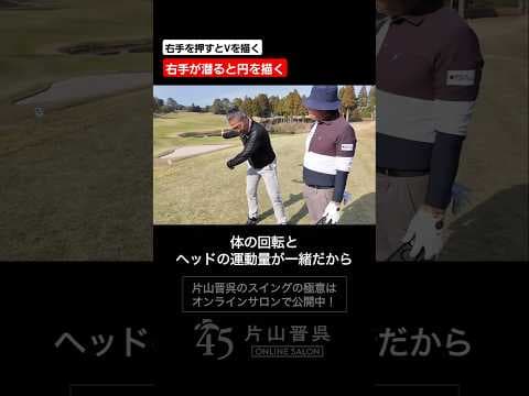 オンプレーンになる体の回転とヘッドの運動量 #片山晋呉 #golf # #ゴルフ #shorts