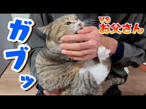 ぷーちゃんがお父さんの手をガブリ！何があった！？