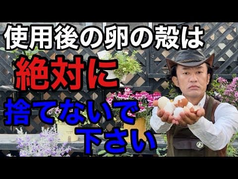 【目からうろこ】卵の殻のとんでもない活用法教えます　　【カーメン君】【園芸】【ガーデニング】【初心者】