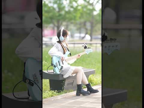 猫 / DISH// #basscover #猫 #DISH// #ベース #弾いてみた #ベーシスト #ベース女子  #野外撮影