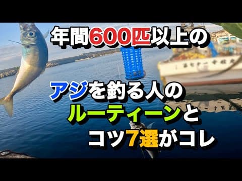 アジが渋い時の釣法7。確実に数を伸ばす為の少しのコツ教えます。