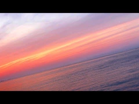 釣り行ったら地獄でした…