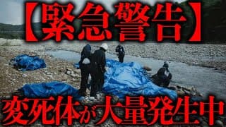 【異常事態】川口市で身元不明の水死体が次々と上がっている件