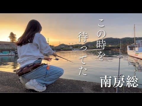 [南房総]ついに群れが、！生命みなぎる最高の瞬間を逃したくない！！