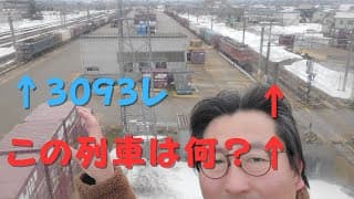 【新潟の重要な貨物駅】南長岡駅を訪問した！