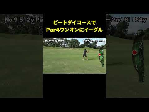 ピートダイ設計コースでpar4 1オンにイーグル決めるやつ #shorts