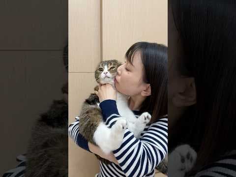 猫を吸いまくった結果www #cat #猫のいる暮らし