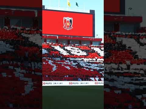 【ホーム埼スタ】52,429人が作り出す圧巻のスタジアムの雰囲気#shorts #urawareds #jリーグ #浦和レッズ