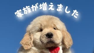 【ご報告】今日家族が増えました【運命の日】