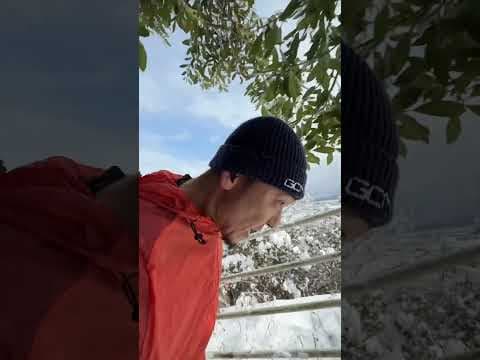 東山トレラン　街中にこんなTRAILがあってしかも雪があってものすごく楽しい！#trailrunning #トレラン #雪山