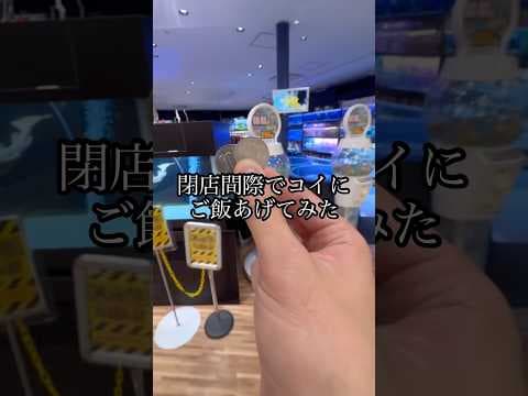 時間がなくてもこれだけはやり遂げる #shorts #クレーンゲーム #ufoキャッチャー #ゲーセン #clawmachine #arcade