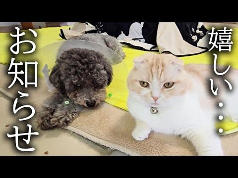 みなさまに嬉しいお知らせがあります...