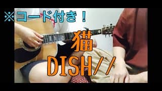 [激ウマな友達] 猫　DISH//