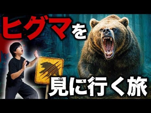 【超危険】野生のヒグマをガチで見にいく旅 in北海道 本当に見れるの!?