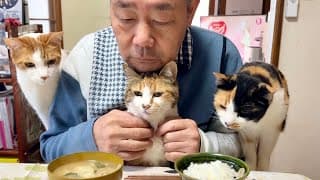 住職が猫を吸いながら朝ごはんを待つ姿が可愛くて癒されてしまった