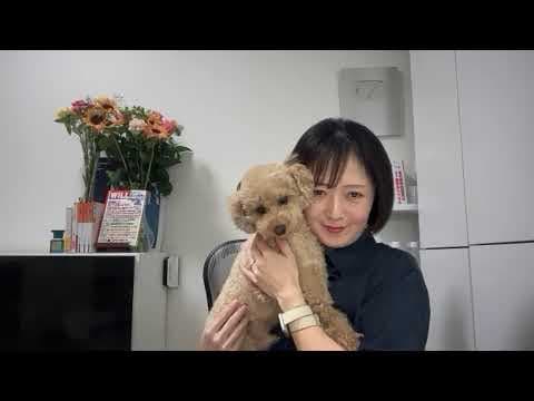 【残念】筋肉弁護士、契約に至らず！残念すぎる結末。
