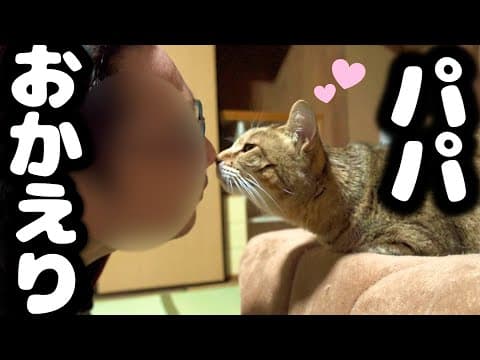 【手術】パパが入院する朝から退院するまで…(2)