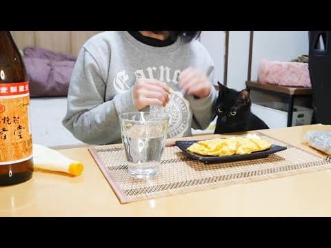 猫と晩酌！一人暮らしの酒の相手は猫と犬！