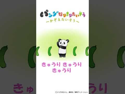 🐼ふわもち♡パンダさんの　ゆるかわ たいそう♪🐼　きゅうり🥒きゅうり🥒きゅうり🥒もういっかーい♬　#shorts    #手遊びうた #panda #ダンス #保育士 #踊ってみた