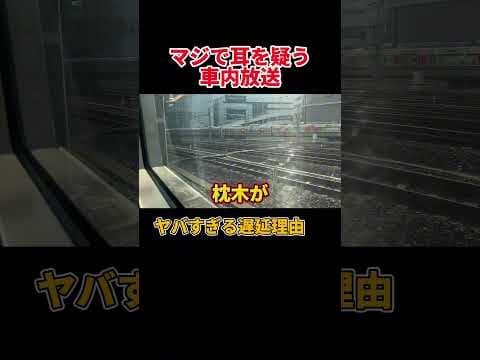 ヤバすぎる理由で遅れた列車に遭遇しました…