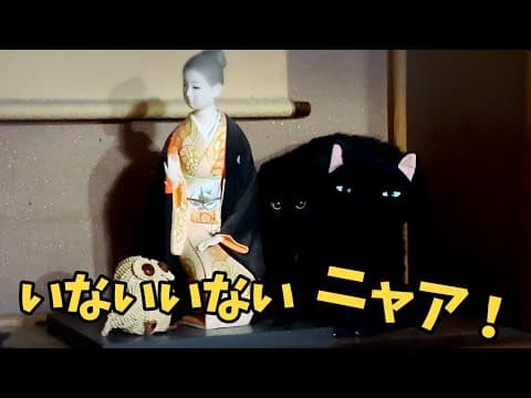 上手に隠れた猫　The Hide-and-Seek Master Cat