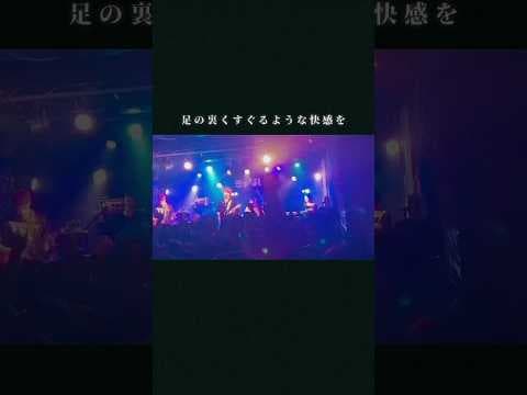 「サイダー/きゃない」ライブ映像バンドver.