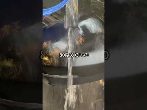 【花粉シミ除去】日産セレナ