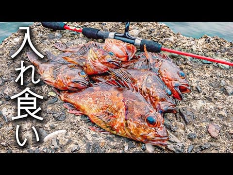 【穴釣り】でっかいカサゴが連発したのはこういう場所だった