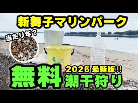 【無料潮干狩り】今年は当たり…⁉︎「新舞子マリンパーク」でアサリを採るコツ‼︎春休みのお得スポットを徹底解説‼︎