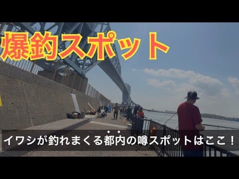 イワシが釣れまくると噂される都内の超人気釣りスポットはここ！