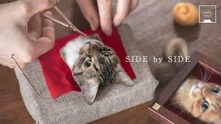 羊毛フェルトで猫を作る制作過程 6 - Needle felting Cat "SIDE by SIDE"  A process of making a cat with wool felt.