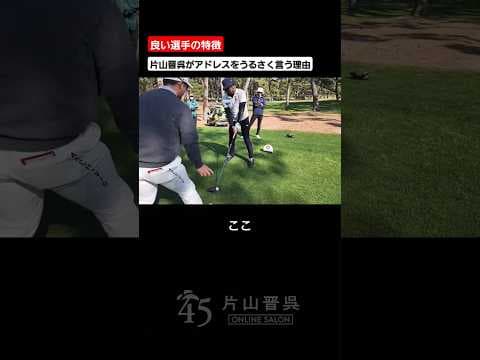 片山晋呉がアドレスをうるさく言う理由 #片山晋呉 #golf # #ゴルフ #shorts