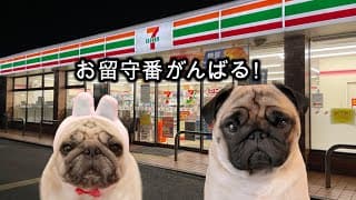 🔴セブンで話題の"お店で揚げたドーナツ"を買ってくるので見守ってて下さい