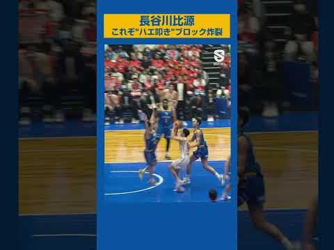 【滋賀レイクス】長谷川比源の、これぞ"ハエ叩き"ブロック #bリーグ