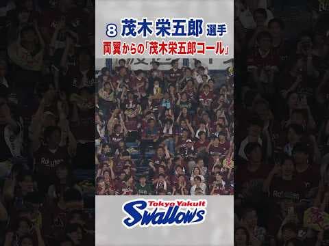 茂木栄五郎選手 両翼からの「茂木栄五郎コール」 #swallows #茂木栄五郎 #shorts