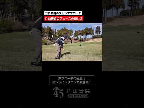 クローズで構えて打つフェースに乗せるアプローチ #片山晋呉 #golf # #ゴルフ #shorts