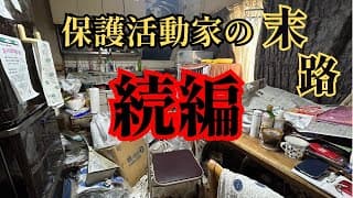 【前回の続編になります】12匹の猫の保護に入りましたが、家庭内野良と言われる猫達を全頭保護できるのか・・・？！